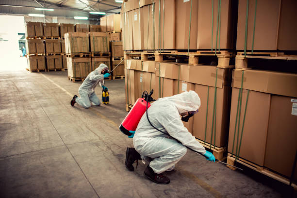 Best Residential Pest Control  in Wallingford Center, CT
