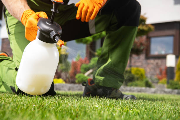 Best Pest Inspection Near Me  in Wallingford Center, CT