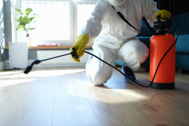 Best Emergency Pest Control  in Wallingford Center, CT