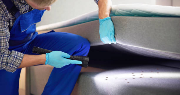 Best Affordable Pest Control Services  in Wallingford Center, CT