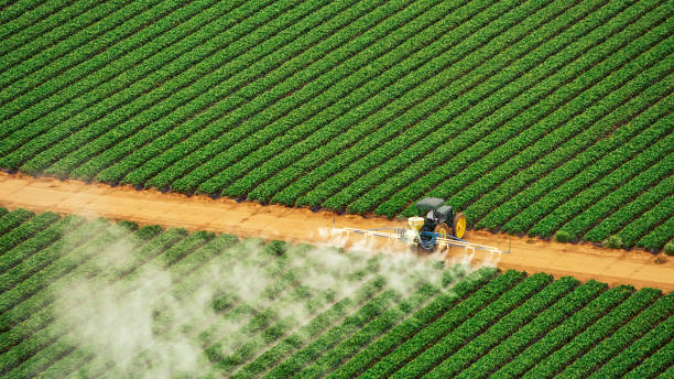 Best Commercial Pest Control Services  in Wallingford Center, CT