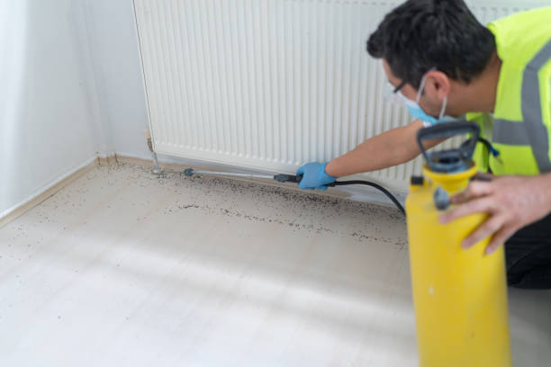 Best Ant Control Services  in Wallingford Center, CT