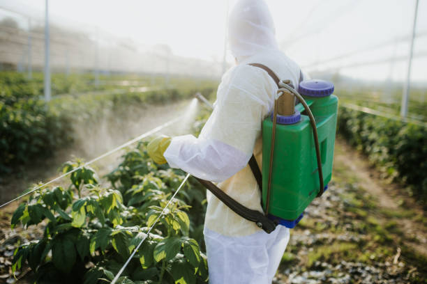 Best Exterminator Services  in Wallingford Center, CT